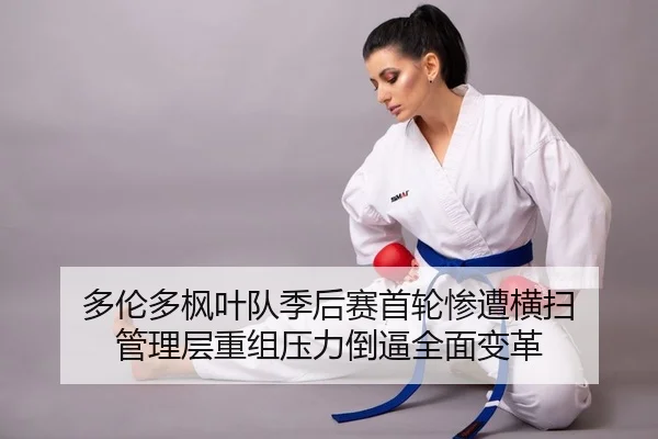 duo-lun-duo-feng-ye-dui-ji-hou-sai-shou-lun-can-zao-heng-sao-guan-li-ceng-chong-zu-ya-li-dao-bi-quan-mian-bian-ge-2-851.jpg